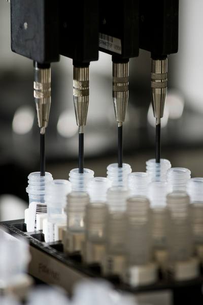 DNA Genotyping and Sequencing. A selection of DNA samples for amplification