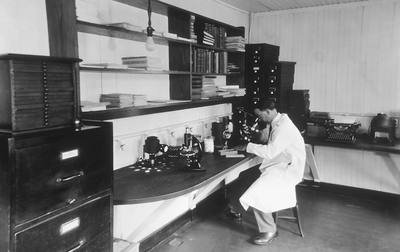 Dr. William C. Hueper looking through microscope in the pathology department,