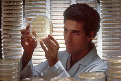 A bacteria mix is spread on an agar plate. From that plate, a recombinant clone